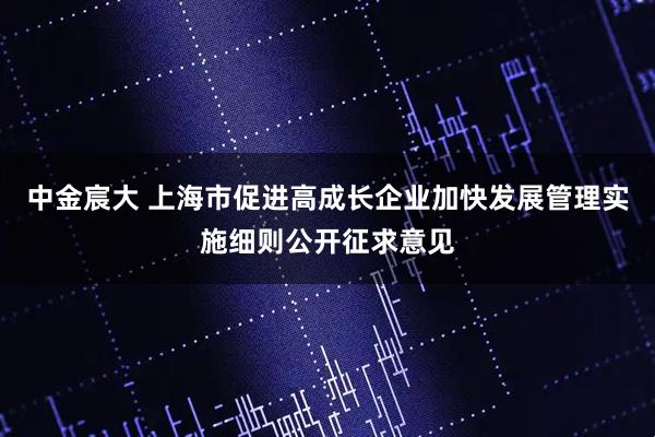 中金宸大 上海市促进高成长企业加快发展管理实施细则公开征求意见