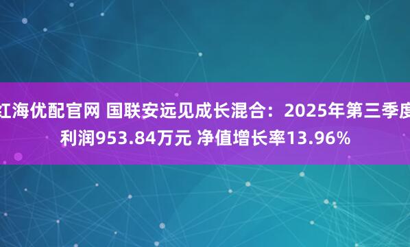 红海优配官网 国联安远见成长混合：2025年第三季度利润953.84万元 净值增长率13.96%
