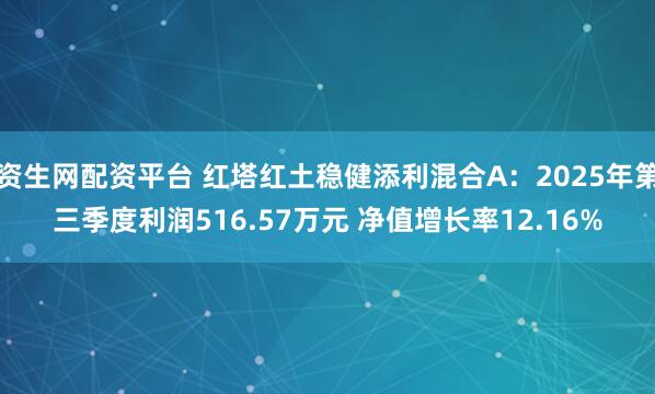 资生网配资平台 红塔红土稳健添利混合A：2025年第三季度利润516.57万元 净值增长率12.16%